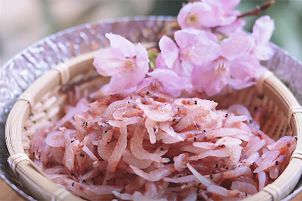 桜えびの天ぷら